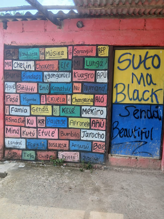 PRIVATE Tour San Basilio de Palenque, Africa in Colombia.
