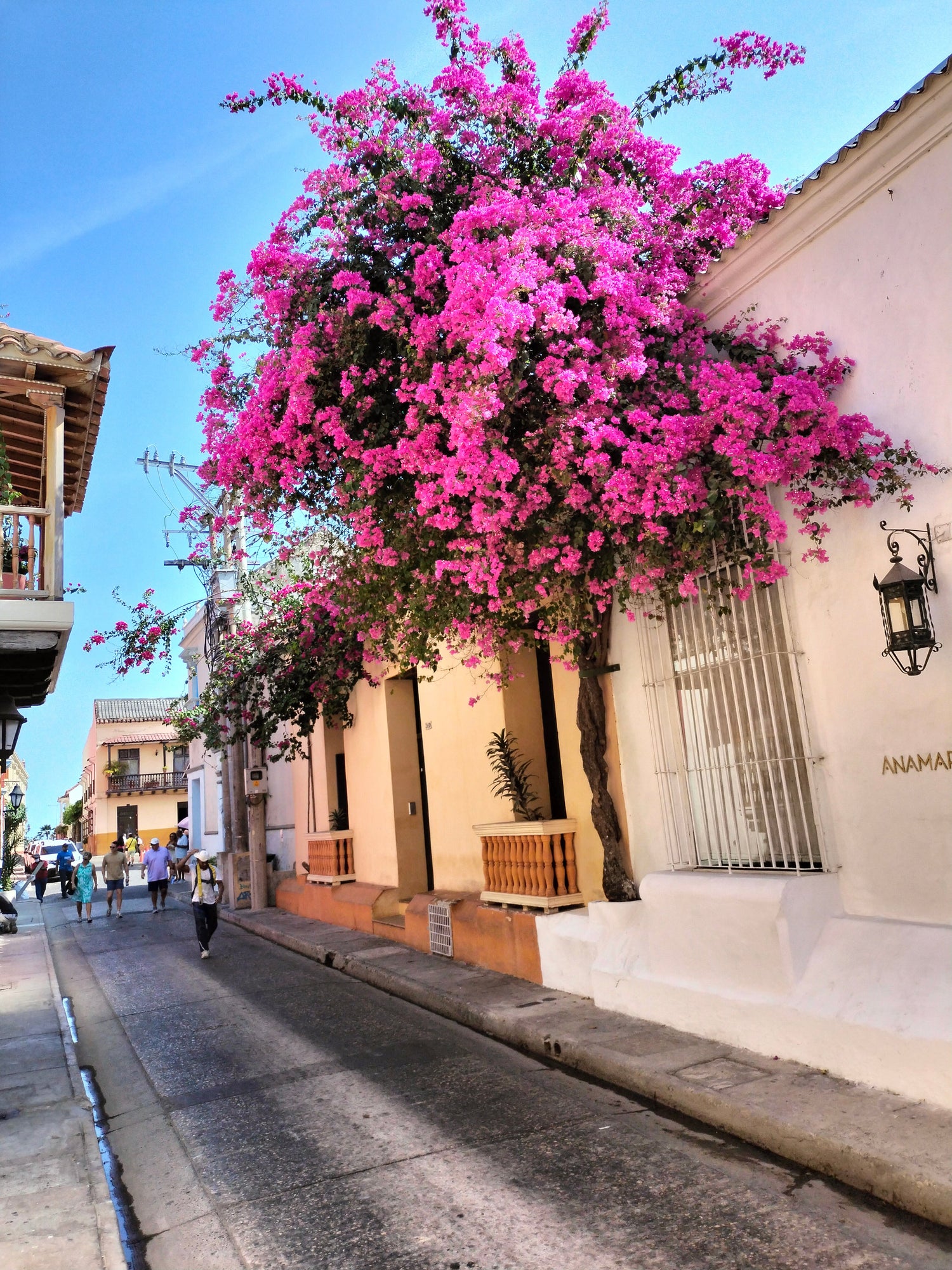 Shore Excursions